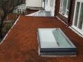 Cedum-roof-3