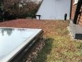 Cedum-roof-6